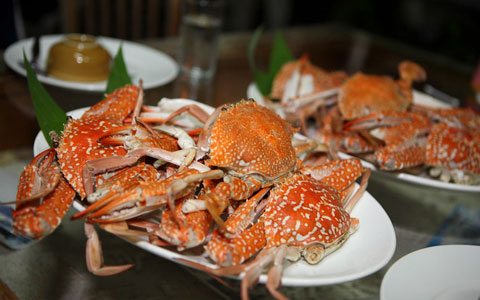 Krabben Seafood