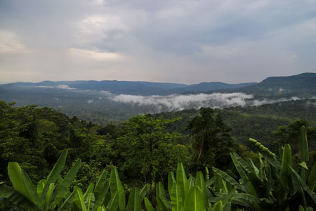 Aussichtspunkt auf den Dschungel des  Dong Phayayen-Khao Yai Waldkomplex
