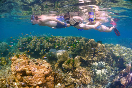 Touristen schnorcheln über ein Korallenriff
