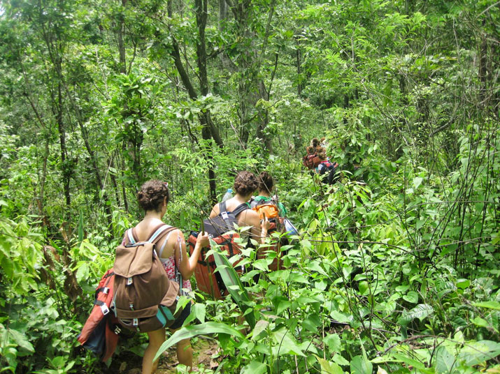 Touristen wandern in ihrem Urlaub in Chiang Mai durch den Dschungel.
