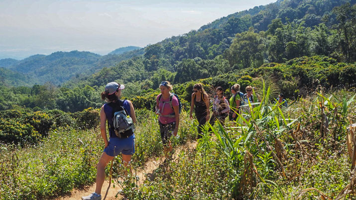 Touristen nehmen auf ihrer Reise in Nordthailand an einer Trekking Tour teil.