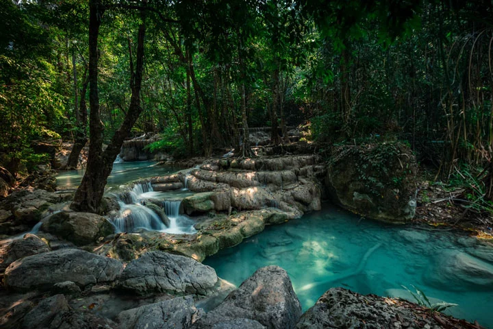 Dschungel beim Erawan Wasserfall in Thailand.