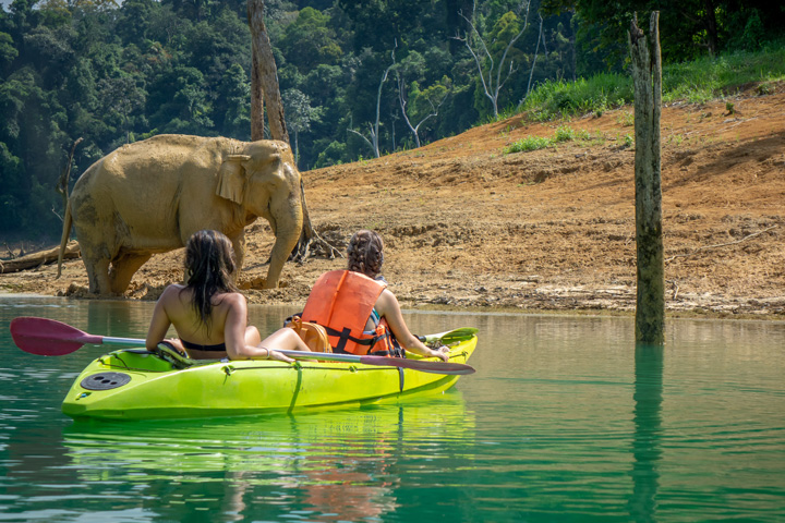 
Touristen bei einer Kajak Tour auf dem Cheow Lan See im Khao Sok Nationalpark, beobachten einen Elefanten am Ufer.