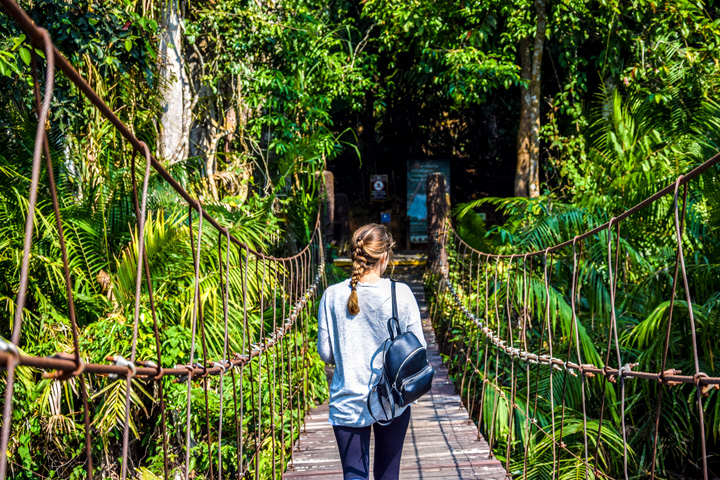 Touristin wandert beim Besucherzentrum des Khao Yai Nationalpark über die Brücke in den Dschungel.